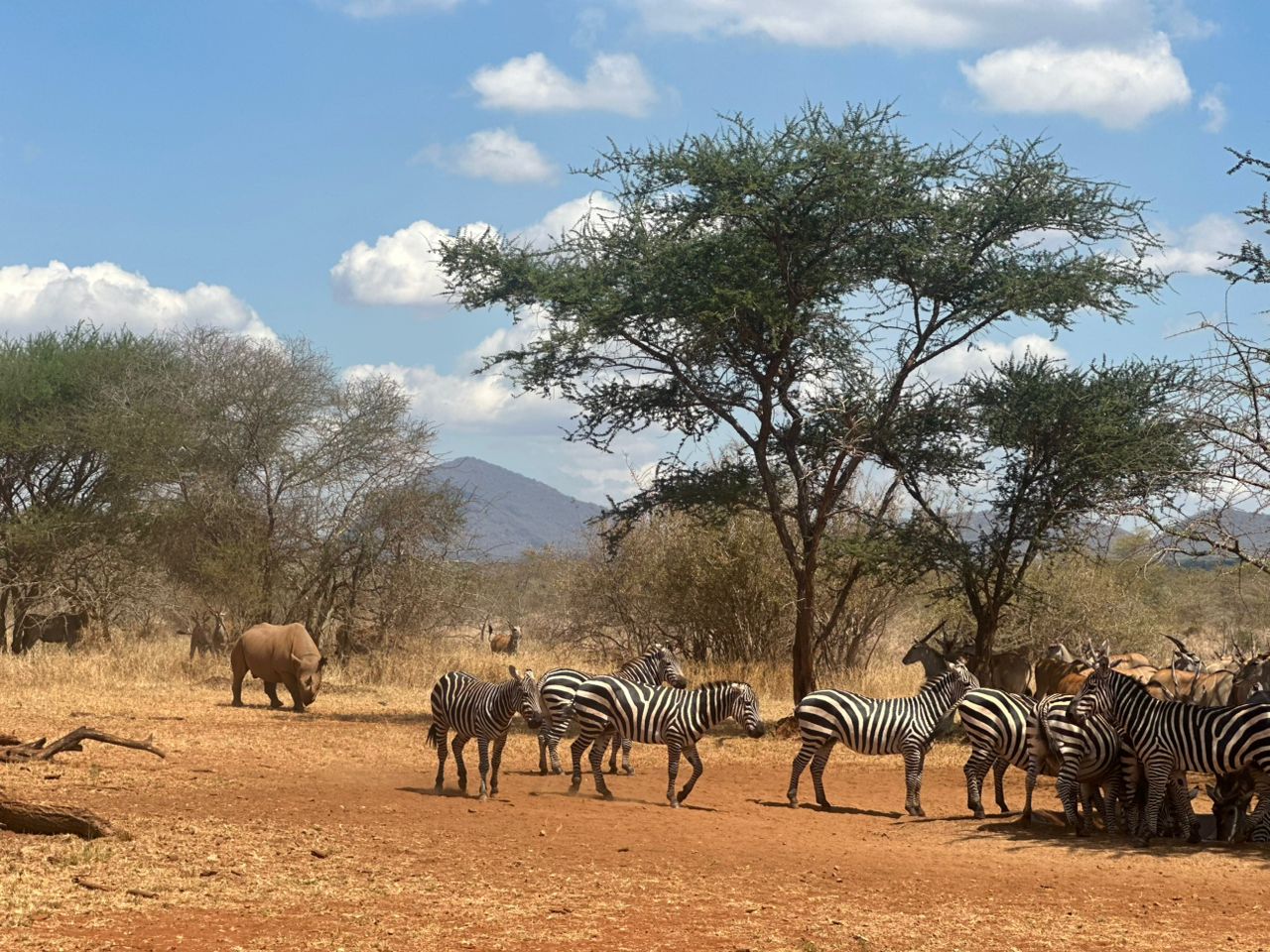 Rongai Route Kilimanjaro