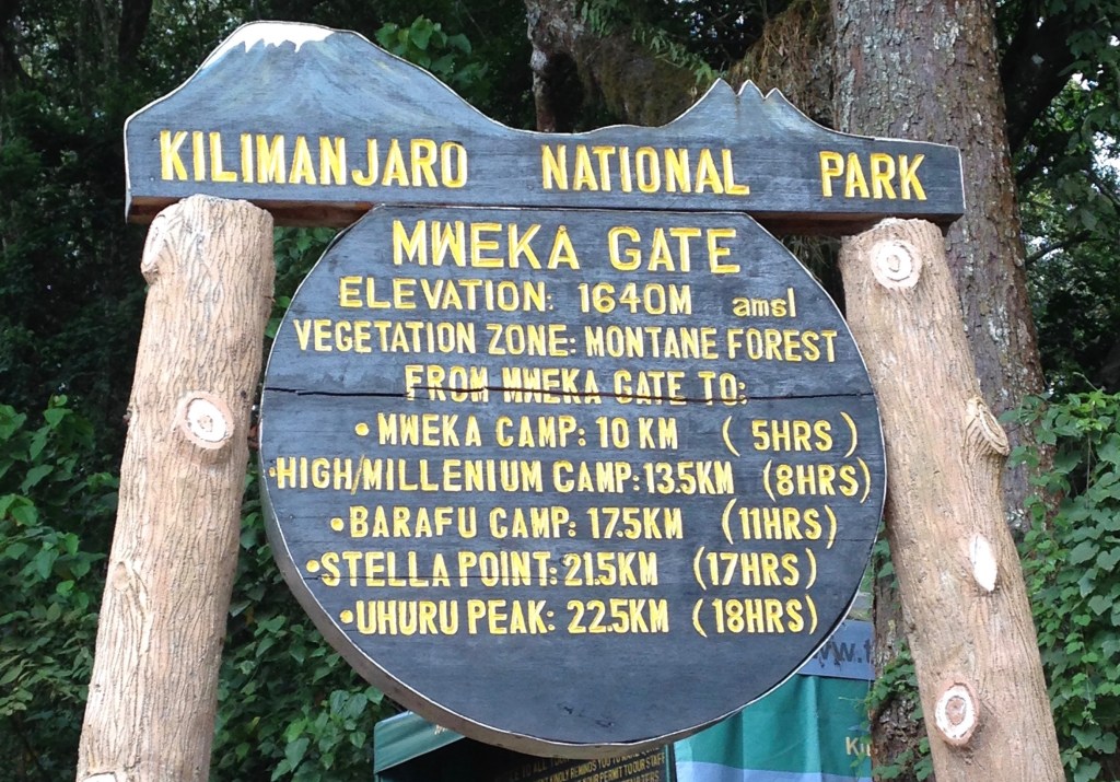 Horombo to Marangu Gate